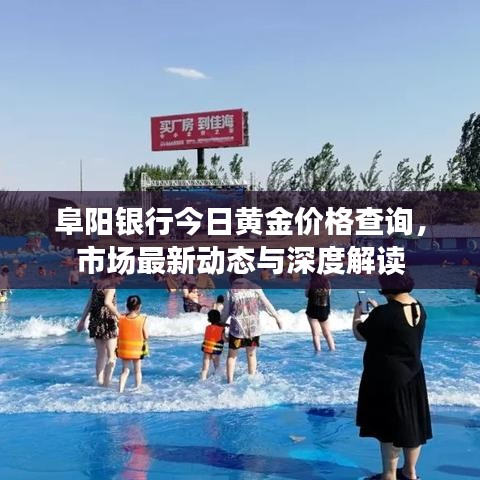 阜阳银行今日黄金价格查询，市场最新动态与深度解读