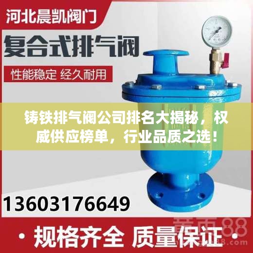 铸铁排气阀公司排名大揭秘，权威供应榜单，行业品质之选！