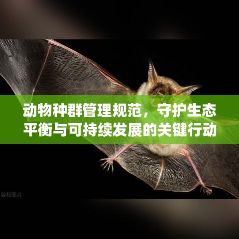 动物种群管理规范，守护生态平衡与可持续发展的关键行动