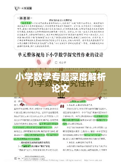 小学数学专题深度解析论文