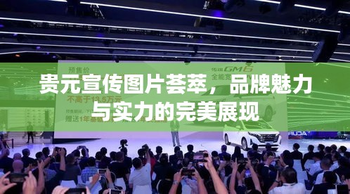贵元宣传图片荟萃，品牌魅力与实力的完美展现
