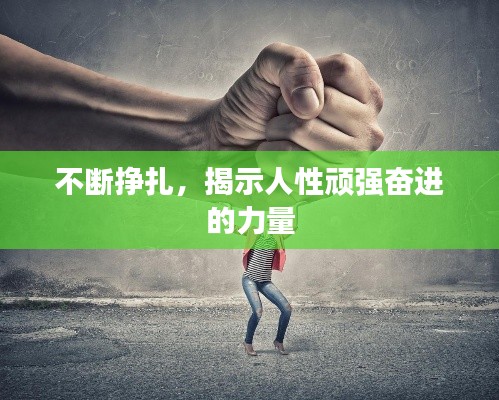 不断挣扎，揭示人性顽强奋进的力量