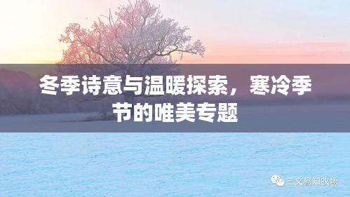 冬季诗意与温暖探索，寒冷季节的唯美专题