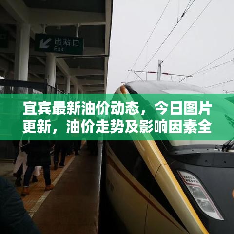宜宾最新油价动态，今日图片更新，油价走势及影响因素全解析