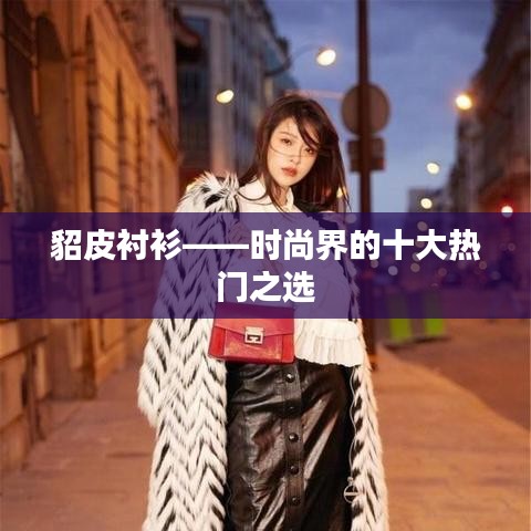 貂皮衬衫——时尚界的十大热门之选